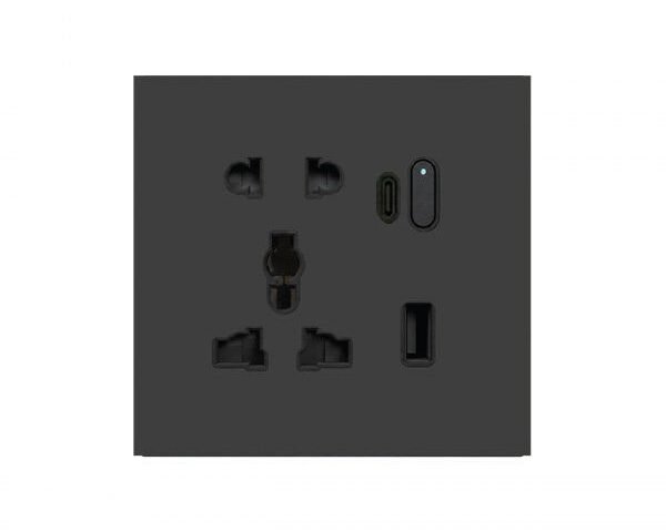 AQUA ZIGBEE CHARCOAL BLACK MULTI + USB + TYPE-C – Aqua Aqua Zigbee Charcoal Black Switches