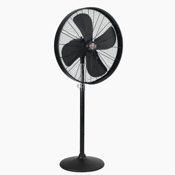 Designer With Round Base – GFC FANS