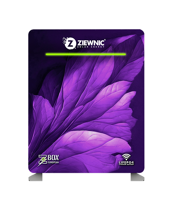 LITHIUM BATTERY POWER BANK 25.6V 280AH – Ziewnic Lithium Batteries
