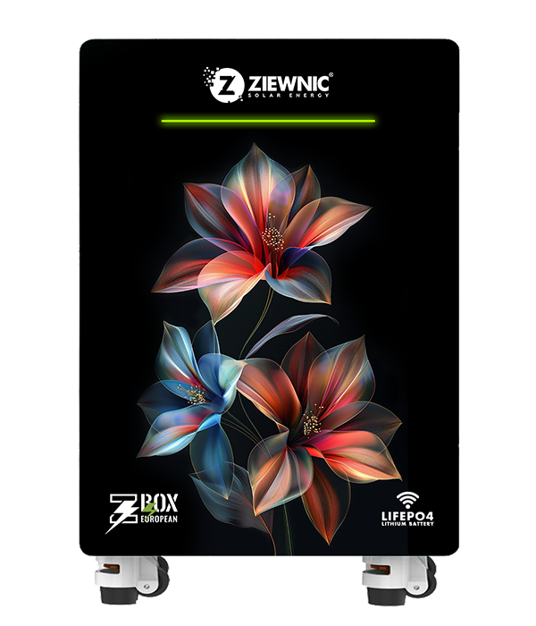 NEW WALL STAND LITHIUM BATTERY EUROPEAN 600AH-51.2V – Ziewnic Lithium Batteries